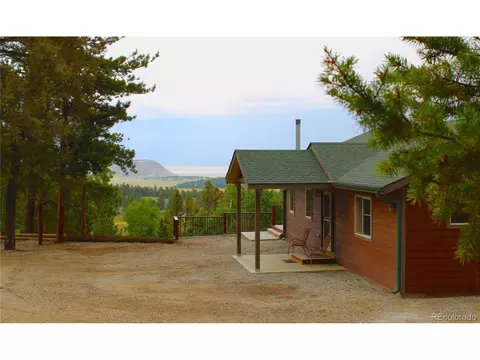 946 Singletree Rd, Hartsel, CO 80449