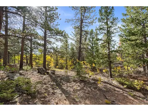 Pinon, Black Hawk, CO 80422