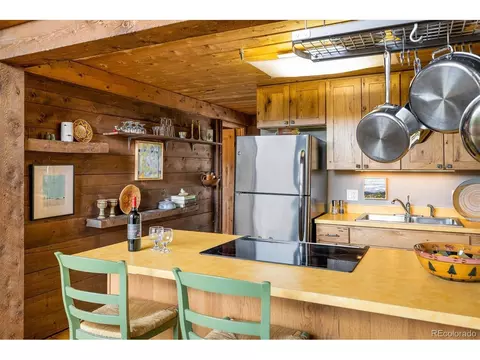 452 Pine Cone Dr, Ward, CO 80481 photo 20