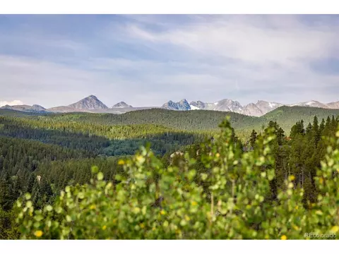 452 Pine Cone Dr, Ward, CO 80481 photo 2