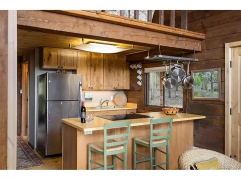 452 Pine Cone Dr, Ward, CO 80481 photo 18