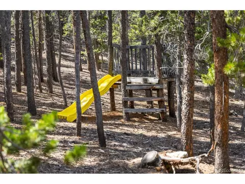 452 Pine Cone Dr, Ward, CO 80481 photo 31