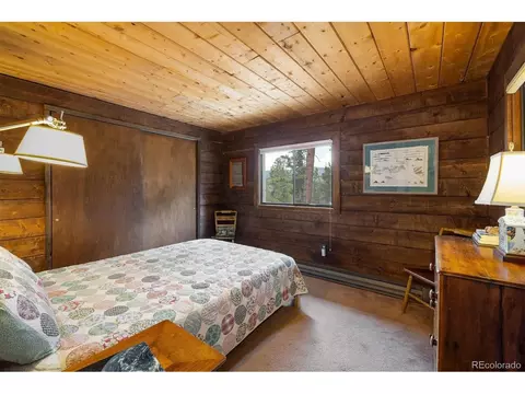 452 Pine Cone Dr, Ward, CO 80481 photo 24
