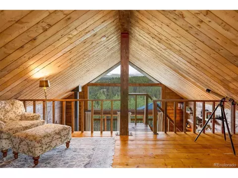 452 Pine Cone Dr, Ward, CO 80481 photo 17