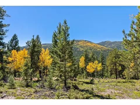 30854 Forest Shadow Trl, Conifer, CO 80433
