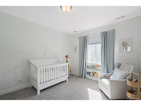 6938 E Lake Dr, Centennial, CO 80111 photo 31