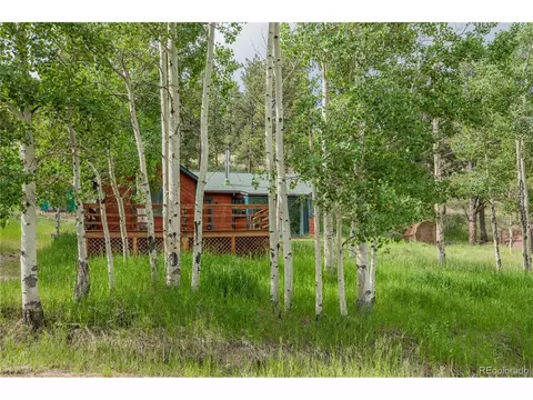 575 N Pine Dr, Bailey, CO 80421 photo 17