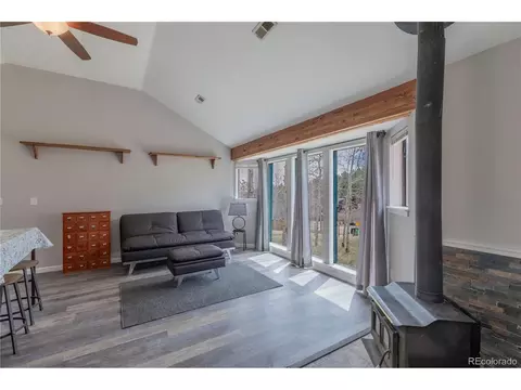 575 N Pine Dr, Bailey, CO 80421 photo 2