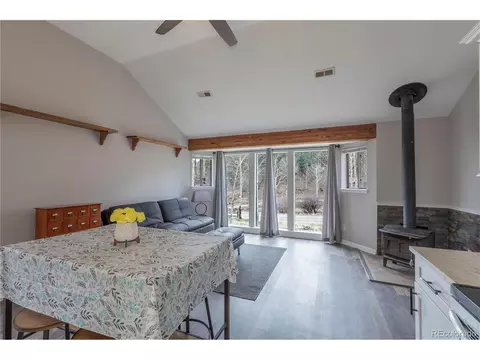 575 N Pine Dr, Bailey, CO 80421 photo 5