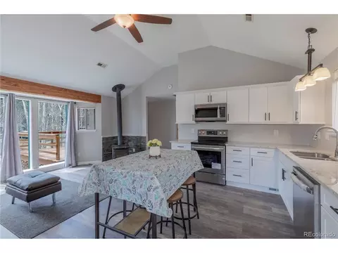 575 N Pine Dr, Bailey, CO 80421 photo 4