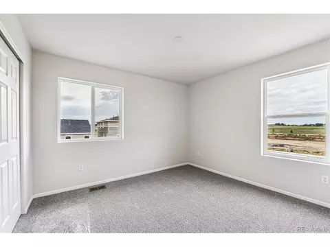 994 Rustling St, Windsor, CO 80550 photo 18