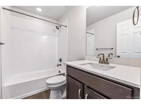 994 Rustling St, Windsor, CO 80550 photo 17