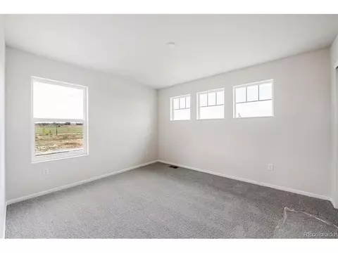 994 Rustling St, Windsor, CO 80550 photo 16