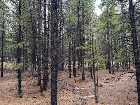 945 Cedar Dr, Leadville, CO 80461