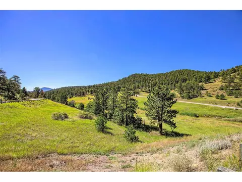 14334 Reserve Rd, Pine, CO 80470 photo 14