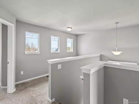 1091 Johnson St, Wiggins, CO 80654 photo 27