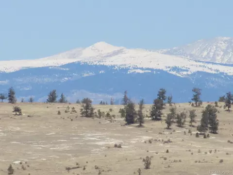237 Black Beaver Rd, Hartsel, CO 80449