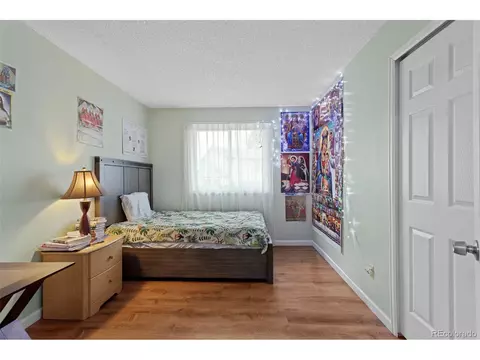 18982 E 46th Ave, Denver, CO 80249 photo 37