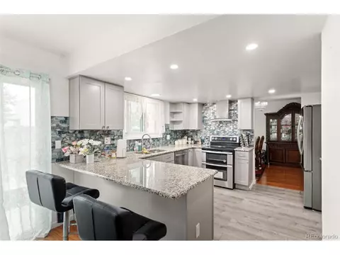 18982 E 46th Ave, Denver, CO 80249 photo 19