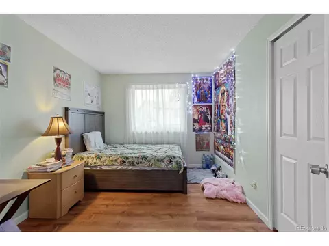 18982 E 46th Ave, Denver, CO 80249 photo 38
