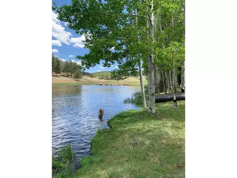 3770 County 42 Rd, Florissant, CO 80816
