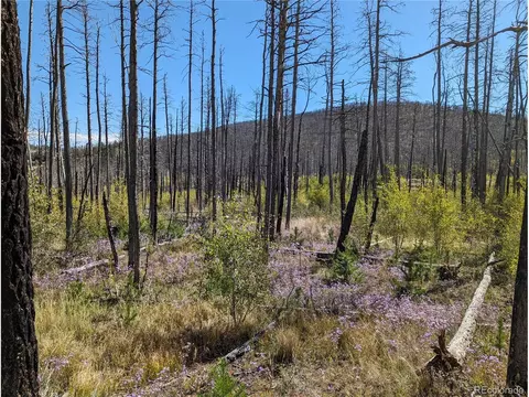 1690 Trimm Pl, Fort Garland, CO 81133