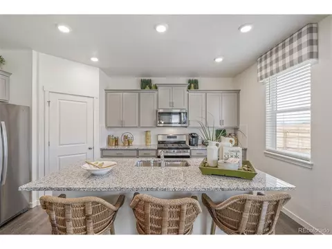 1251 Baker Pass St, Severance, CO 80546 photo 15