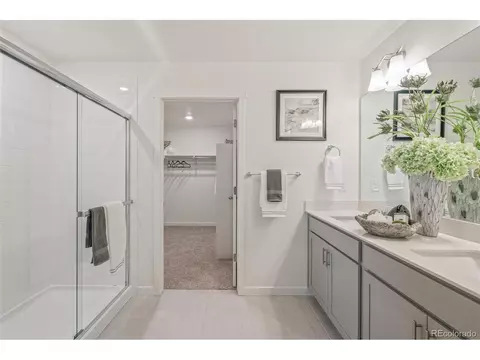 1251 Baker Pass St, Severance, CO 80546 photo 27