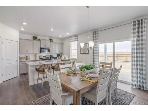 1251 Baker Pass St, Severance, CO 80546 photo 12