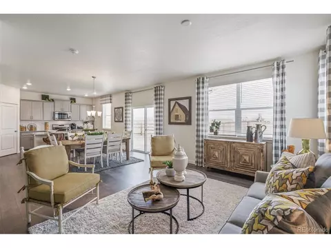 1251 Baker Pass St, Severance, CO 80546 photo 6