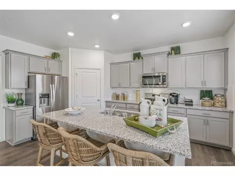 1251 Baker Pass St, Severance, CO 80546 photo 14