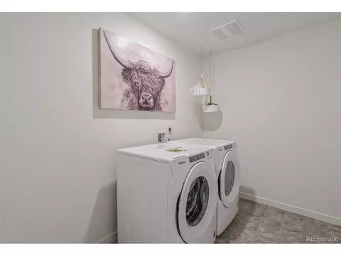 1251 Baker Pass St, Severance, CO 80546 photo 32
