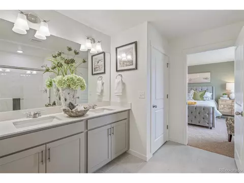 1251 Baker Pass St, Severance, CO 80546 photo 28