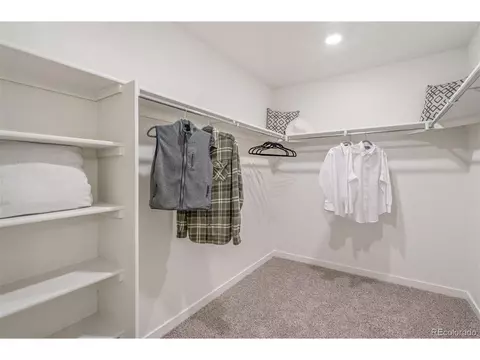 1251 Baker Pass St, Severance, CO 80546 photo 31