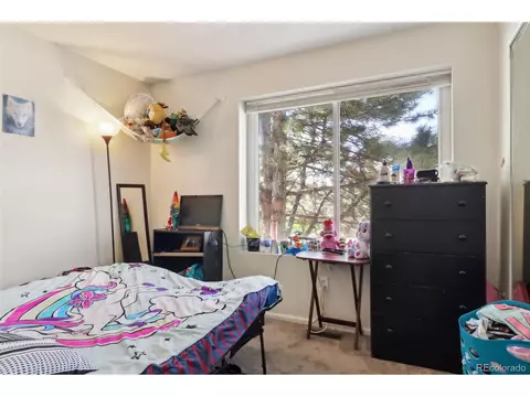 21159 E 42nd Ave, Denver, CO 80249 photo 20