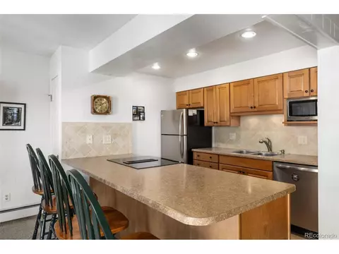 176 E La Bonte St #A-302, Dillon, CO 80435 photo 4