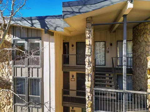 176 E La Bonte St #A-302, Dillon, CO 80435 photo 24