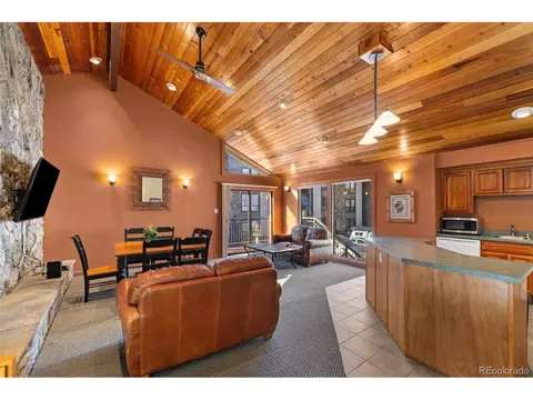 176 E La Bonte St #A-302, Dillon, CO 80435 photo 14