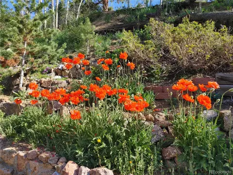 258 Road P61, Bailey, CO 80421 photo 28