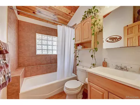 258 Road P61, Bailey, CO 80421 photo 18