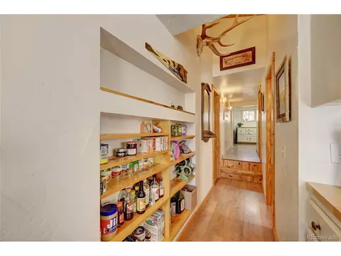 258 Road P61, Bailey, CO 80421 photo 19