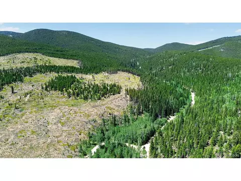 Fool's Luck, Black Hawk, CO 80422 photo 17