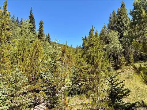Fool's Luck, Black Hawk, CO 80422 photo 5