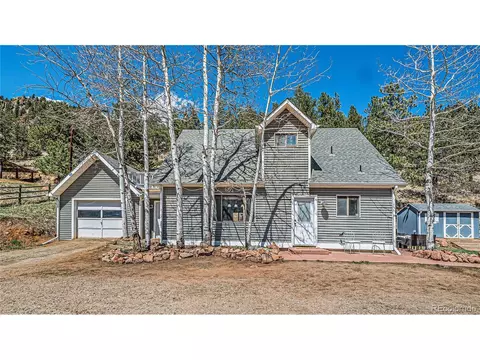 195 Brookside Dr, Bailey, CO 80421