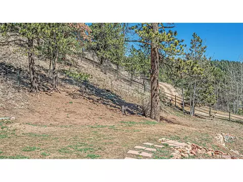 195 Brookside Dr, Bailey, CO 80421 photo 23