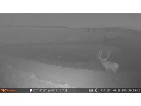 0 County Road 94, Model, CO 81059 photo 18