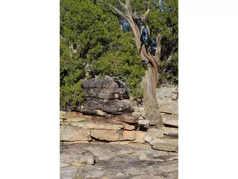 0 County Road 94, Model, CO 81059 photo 38