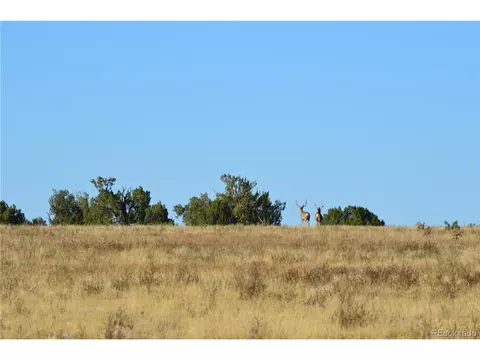 0 County Road 94, Model, CO 81059 photo 15