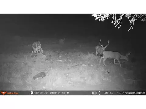 0 County Road 94, Model, CO 81059 photo 20