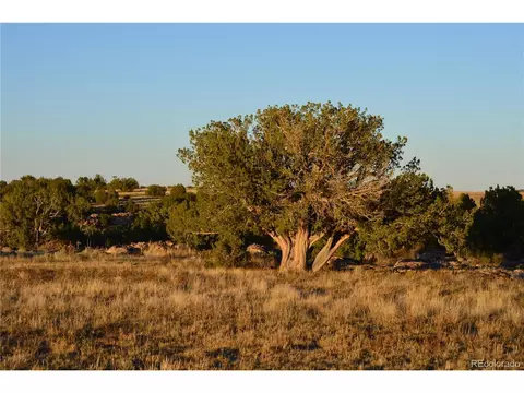 0 County Road 94, Model, CO 81059 photo 32